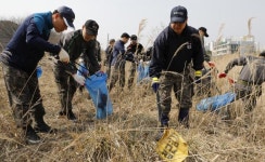봄단장 계룡시…민·관·군 마음에도 ‘봄이 왔어요’