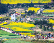 완도군 ‘2017 슬로시티 어워드’…농업관광·전통예술보존 부문