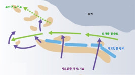 깃발 뺏기면 죄악...게르만군꺾고 6년만에 설욕