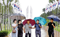 DMZ 열차에서… 전쟁의 상처 딛고 통일을 꿈꾸다