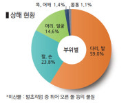 벌초 갔다 응급실행? 보호 장비부터 챙기세요