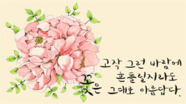 같이의 가치