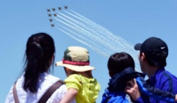 창공의 예술 봄날의 향연...온 가족이 환호