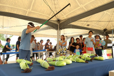 물총싸움부터 쿨시네마까지… 무더위 물렀거라! 짜릿한 여름 축제