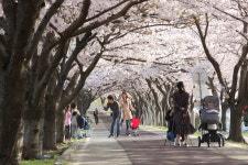 설렘 안고, 알콩달콩 가족과… 콩닥콩닥 연인과… 