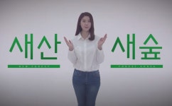 울창한 숲 가꿔 평화의 길 내기