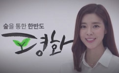 울창한 숲 가꿔 평화의 길 내기