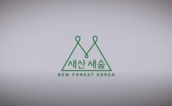 울창한 숲 가꿔 평화의 길 내기
