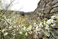 남도석성, 대몽항쟁의 최후 보루! 삼별초 호국혼 깃들다