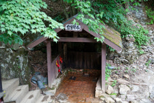 林과 함께 숲캉스