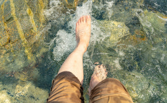 다 같이 돌자 4500㎞ 둘레 한 바퀴