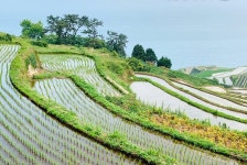 [한눈에 보는 주간 정책]  ‘4월 생태관광지’ 남해 앵강만 선정…    ‘갯마을 제비’ 생태 관찰도