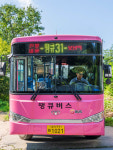 국민과 약속, 승객과 이어간다는 마음으로…‘새벽 4시 작전’  땡큐버스가 달린다