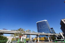 [광복80주년 다시 빛날 기억들] 햇살로 살아나리라, 자유의 거리 거침없이 내달리는…