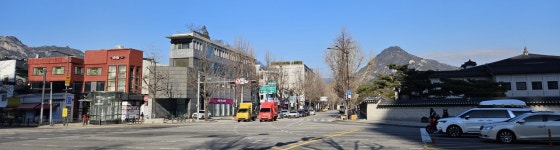 우람했던 백송은 시·서·화 익히던 추사 보았으리라