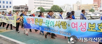 [현대교회의 가르침] (30) ‘생명의 복음’ (1)