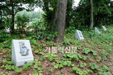 [가톨릭 쉼터] 울릉도 도동·천부성당 ‘소울스테이’를 찾아서