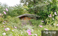 이 가을, 한티순교성지 억새길 따라 걸어볼까