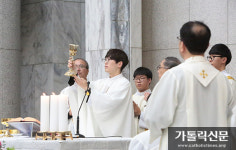 [화보] 수원교구 13명 새 사제 탄생하던 날 / 첫 미사