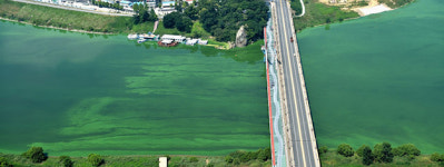 [주님 보시니 좋았다] 2.4대강 재자연화로 하천 생태계 되돌려야