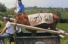 [공소이야기] 세 번째- 안동교구 쌍호공소를 가다