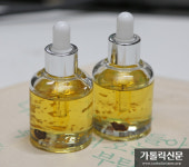 [성탄 특집] 동방박사의 선물 - 아로마테라피에 사용되는 ‘황금과 유향, 몰약’