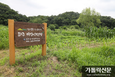 자연농법에 앞장서고 있는  도시농부학교 파주 박달산 텃밭
