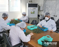 [르포] 장애인 직업재활시설 ‘살림터’를 가다