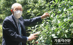 인천 주안1동성당 화단 가꾸는 100세 오일세 어르신