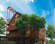 [새 성당 봉헌 축하합니다] 서울대교구 성현동본당