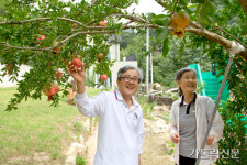 대구대교구 성경식물원 ‘바이블가든’