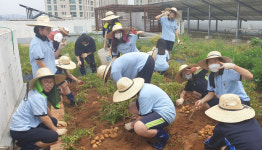 [가톨릭학교를 찾아서] (31)박문중학교·박문여자고등학교