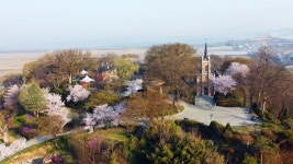 [순례, 걷고 기도하고] 대전교구 공세리성지성당