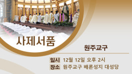 [사제서품] 원주교구