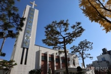 [수원교구 성당 순례] 조원동주교좌성당