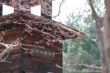 [수원교구 성당 순례] 임마누엘성당