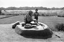 밀밭의 빵 굽는 시간