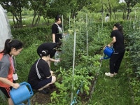 푸스펜의 집, “상처받은 어린 영혼에 위로를”