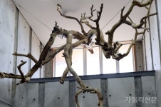 [순례, 걷고 기도하고] 제주교구 하논성당길