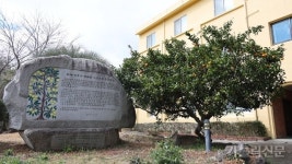 [순례, 걷고 기도하고] 제주교구 하논성당길