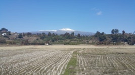[순례, 걷고 기도하고] 제주교구 하논성당길