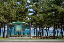  [페북 사람들]바다부채길로 낭만여행 