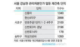  지진만큼 무섭다 재·초·환..반포·잠실 재건축 박차 