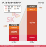  ③SK '반도체의 꿈' 현실로…내일도 통할까 