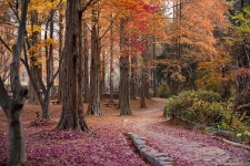  가을의 끝자락을 잡고 