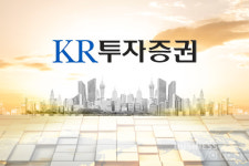 채권 전문 증권사 쉽지 않네…KR증권 결국 감자
