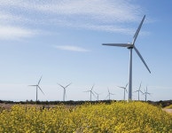 탄소중립 위해 풍력발전 민·관 머리 맞댄다