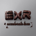 [더벨]토종 스포츠브랜드 EXR 이대로 추락하나