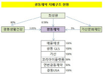 [더벨]광동제약 자사주, 최성원 체제 핵심