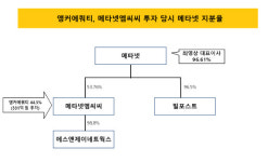 [더벨]앵커에쿼티, 메타넷엠씨씨 엑시트 후 지주사에 재투자